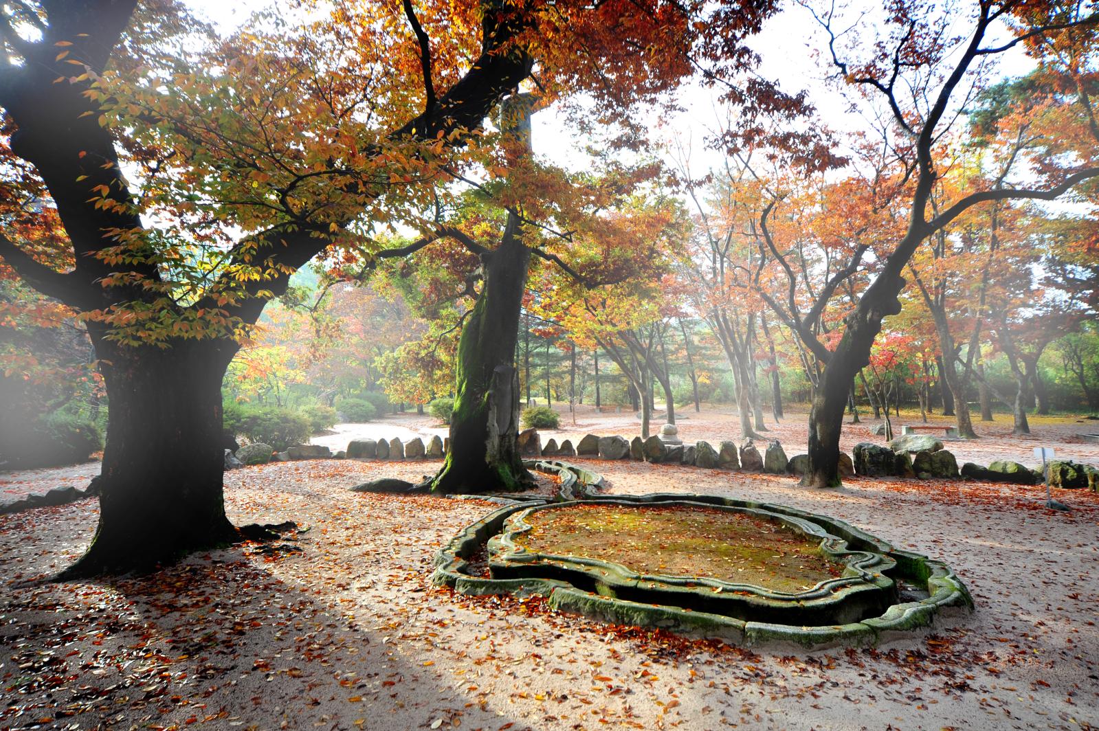 포석정 만추_김택수(입선)